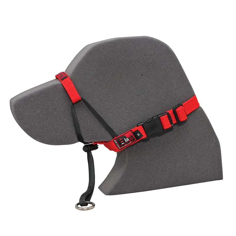 Black Dog Wear Training Halter