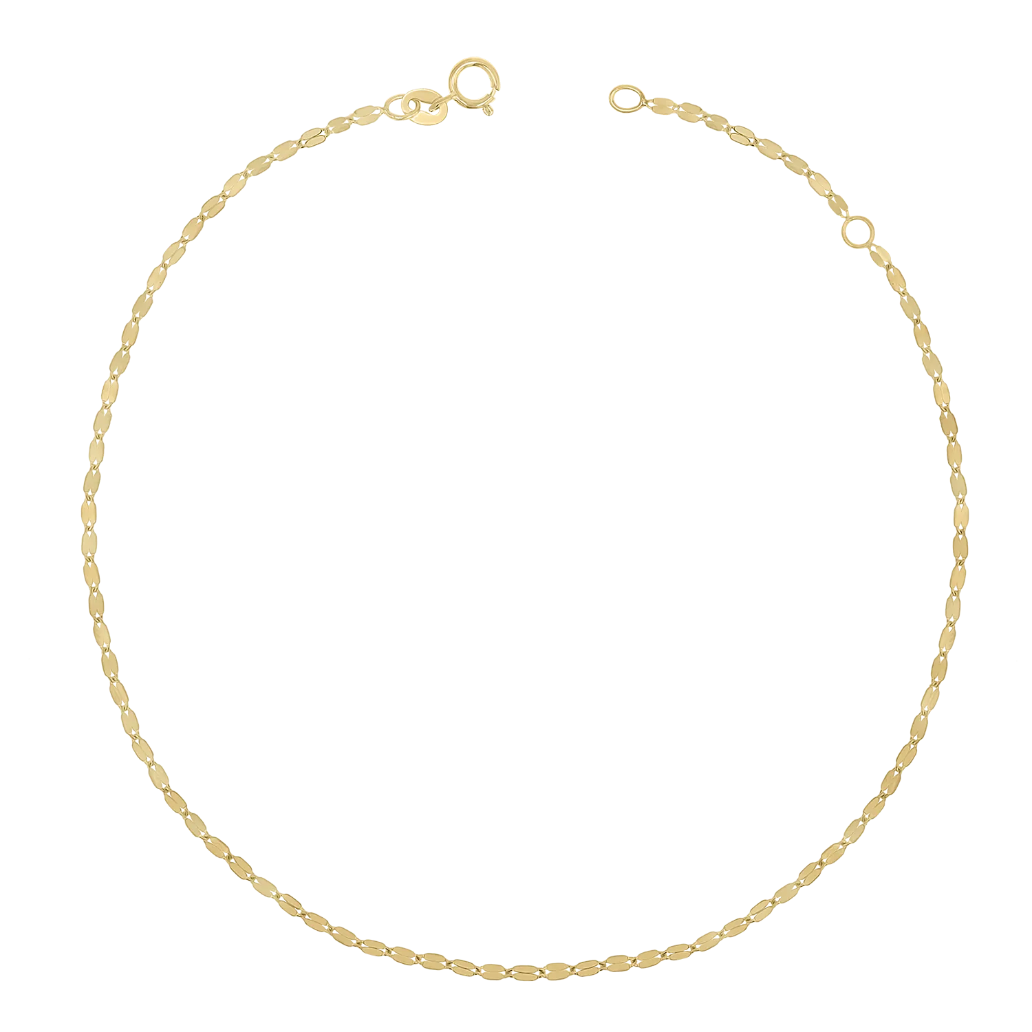 Demure Chain Anklet