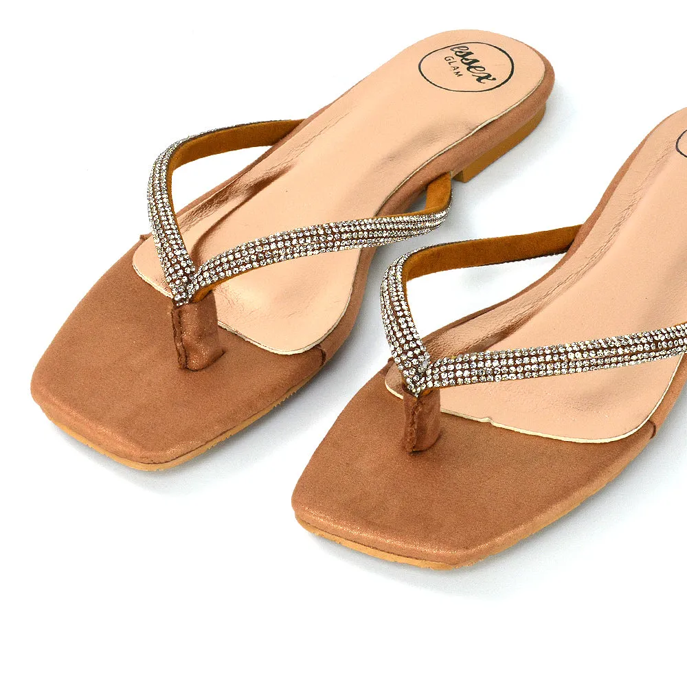 Raina Square Toe Thong Strap Flat Diamante Sandal Slides in Silver Shimmer