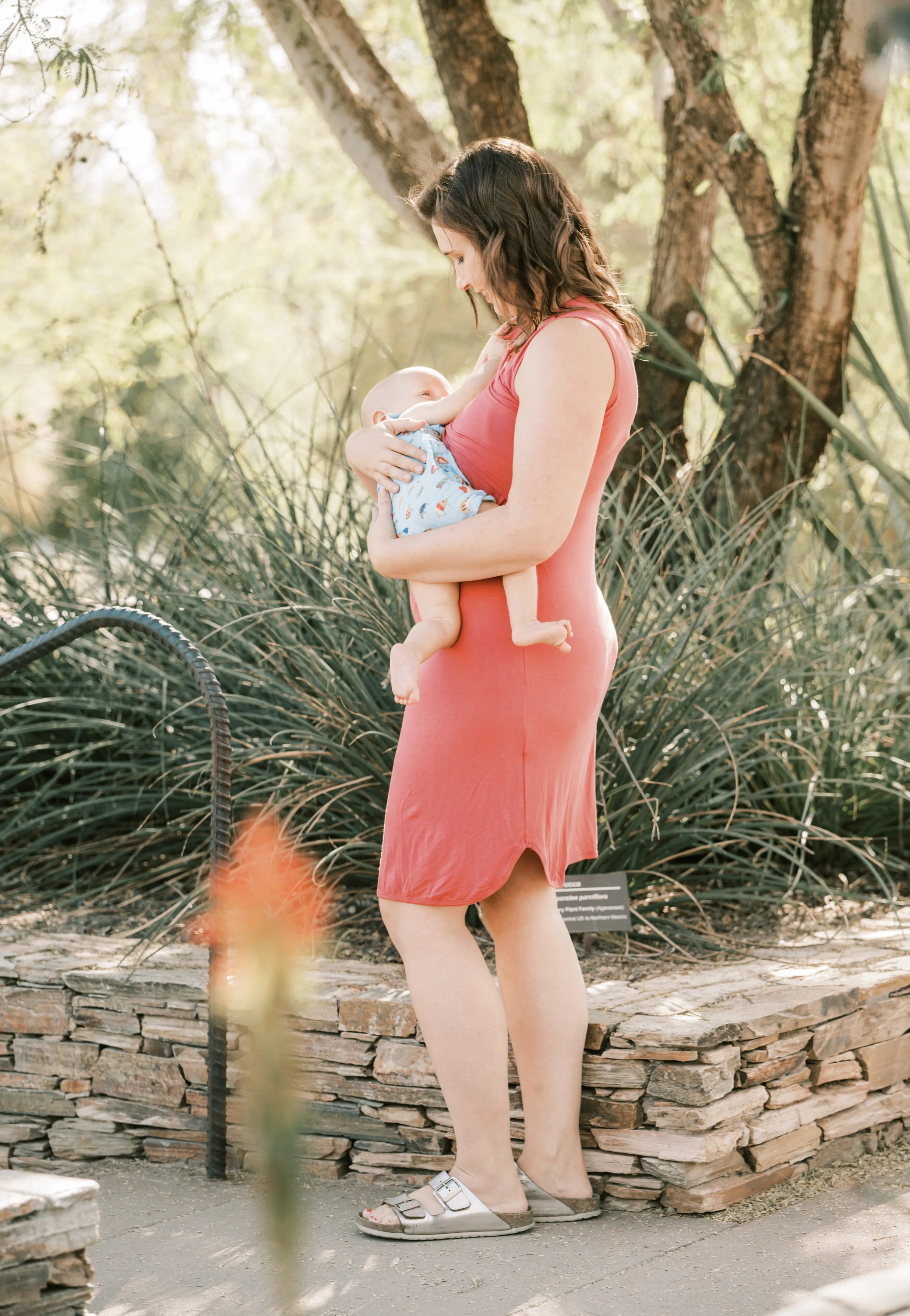 Randi Maternity & Nursing Dress