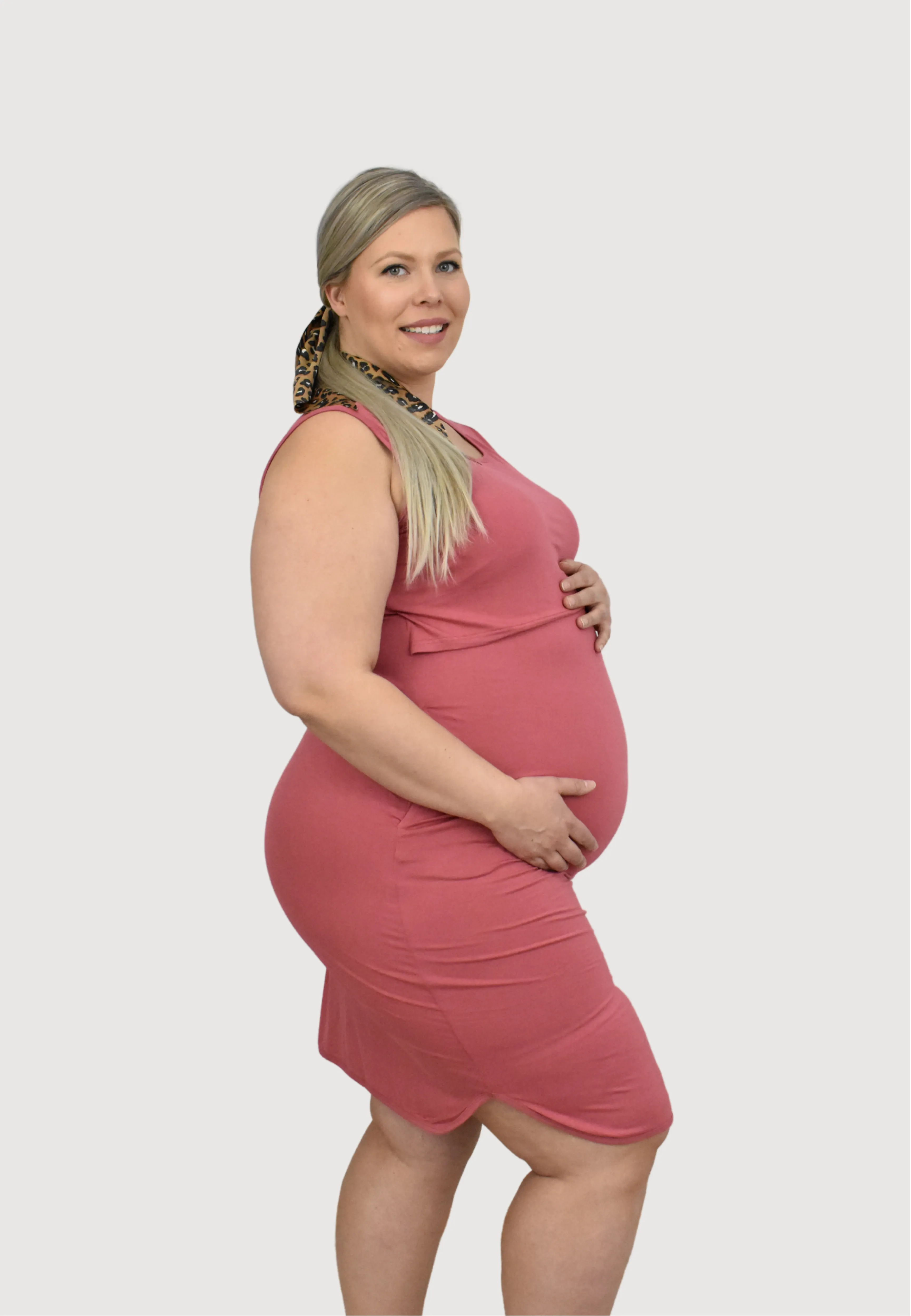 Randi Maternity & Nursing Dress