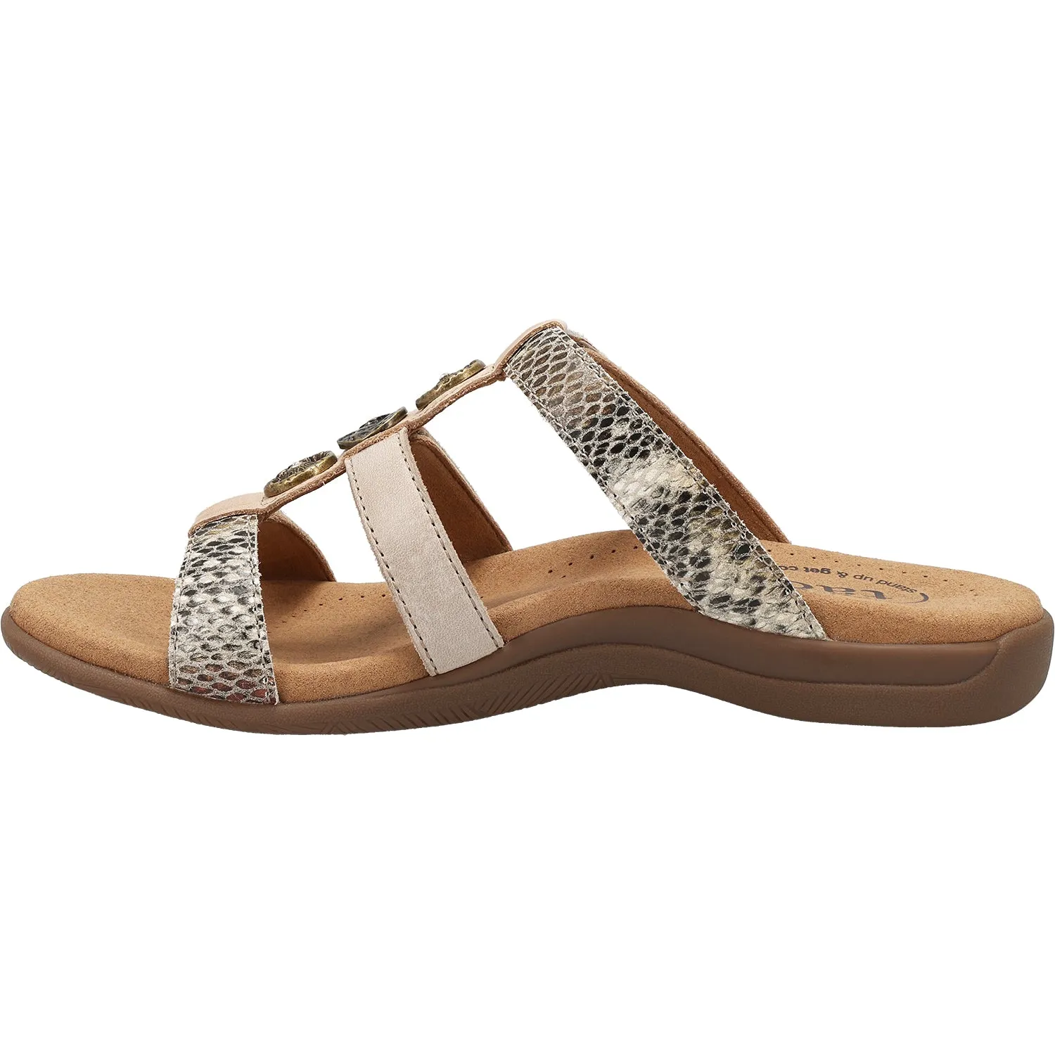 Women's Taos Prize 4 Taupe Snake Multi Leather